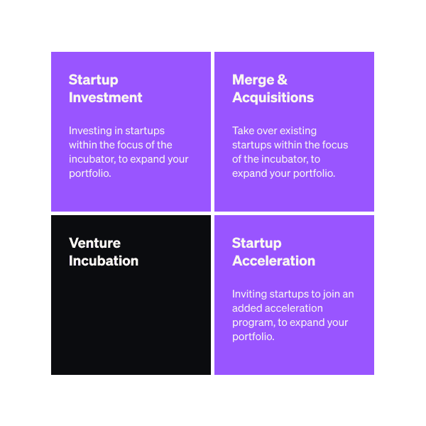 Corporate incubator activities — expanding innovation through startup investments, mergers, acquisitions, and acceleration programs.